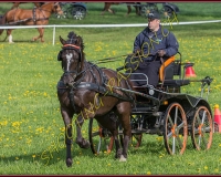 1POSIEUX 0315
